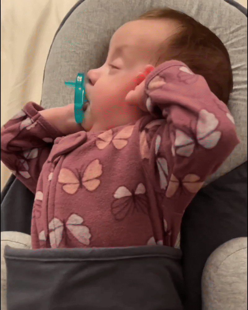 DreamNest™ Baby Sleep Solution