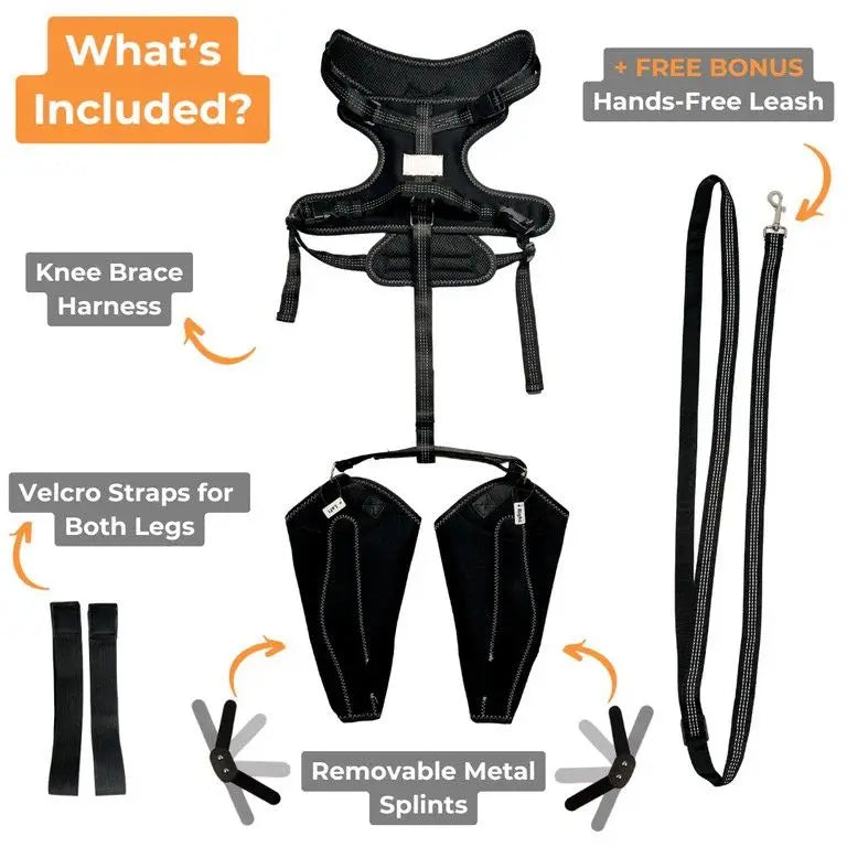 Comfort Paws Canine Leg Brace