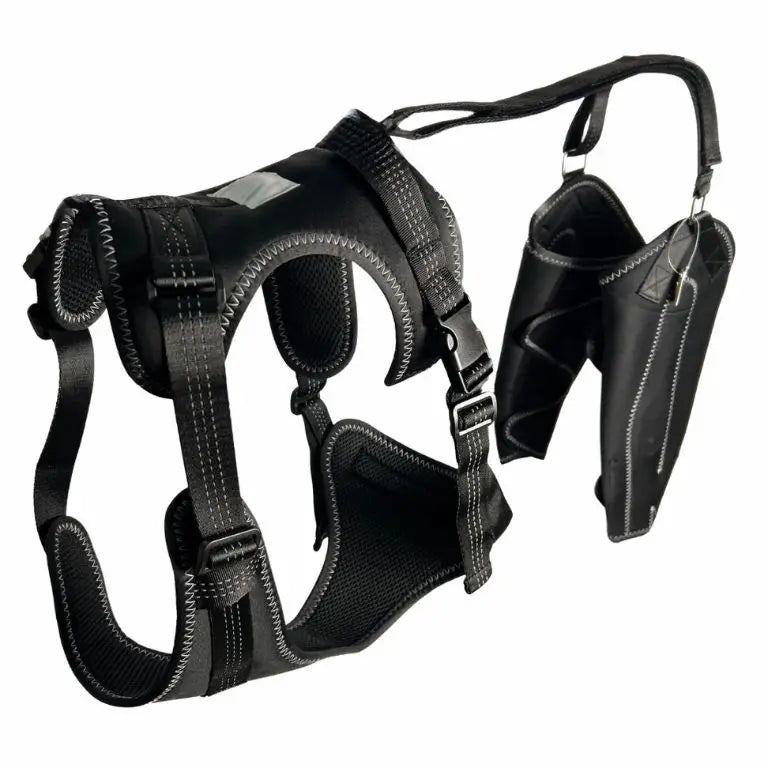 Comfort Paws Canine Leg Brace