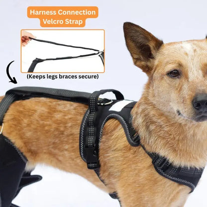 Comfort Paws Canine Leg Brace
