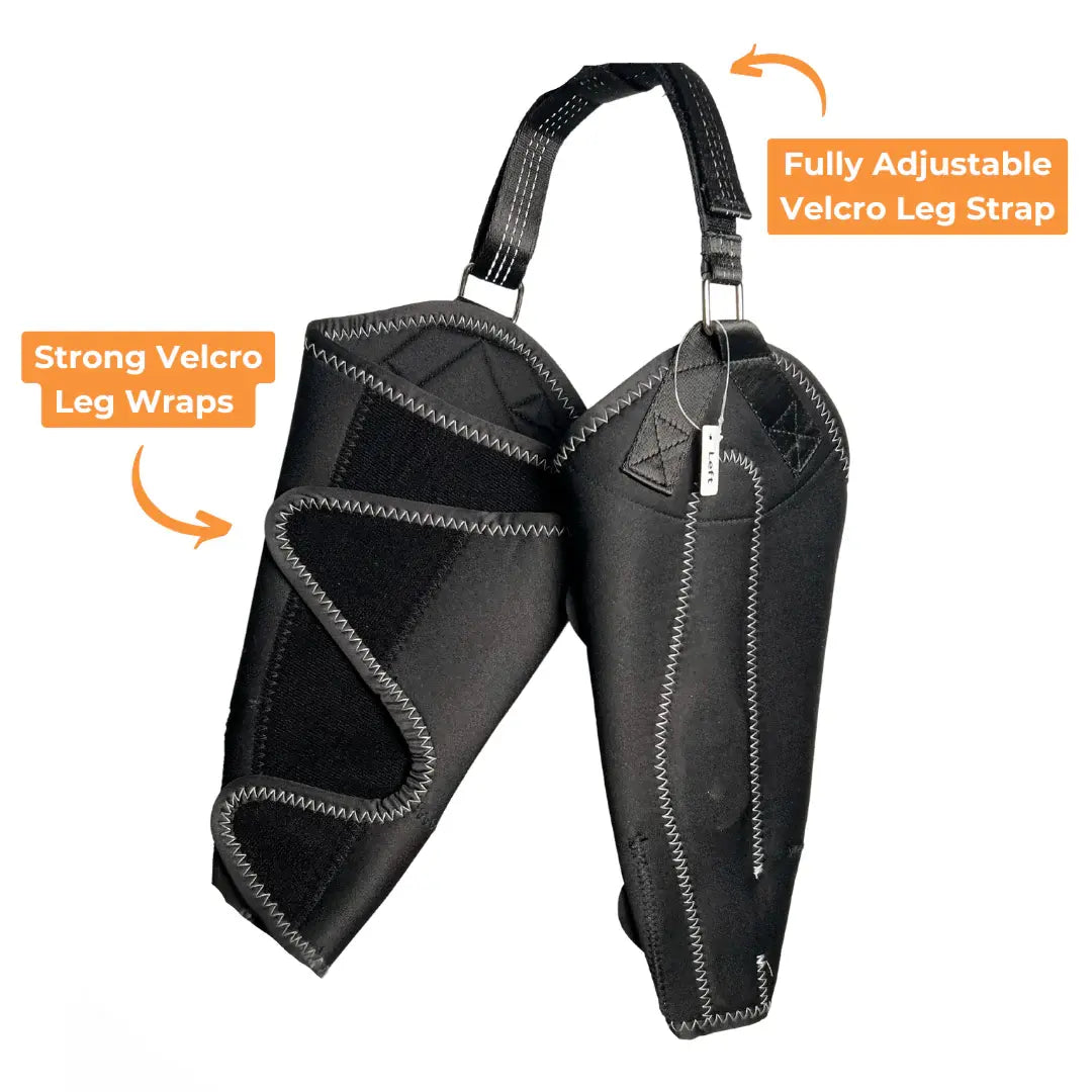 Comfort Paws Canine Leg Brace