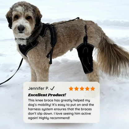 Comfort Paws Canine Leg Brace