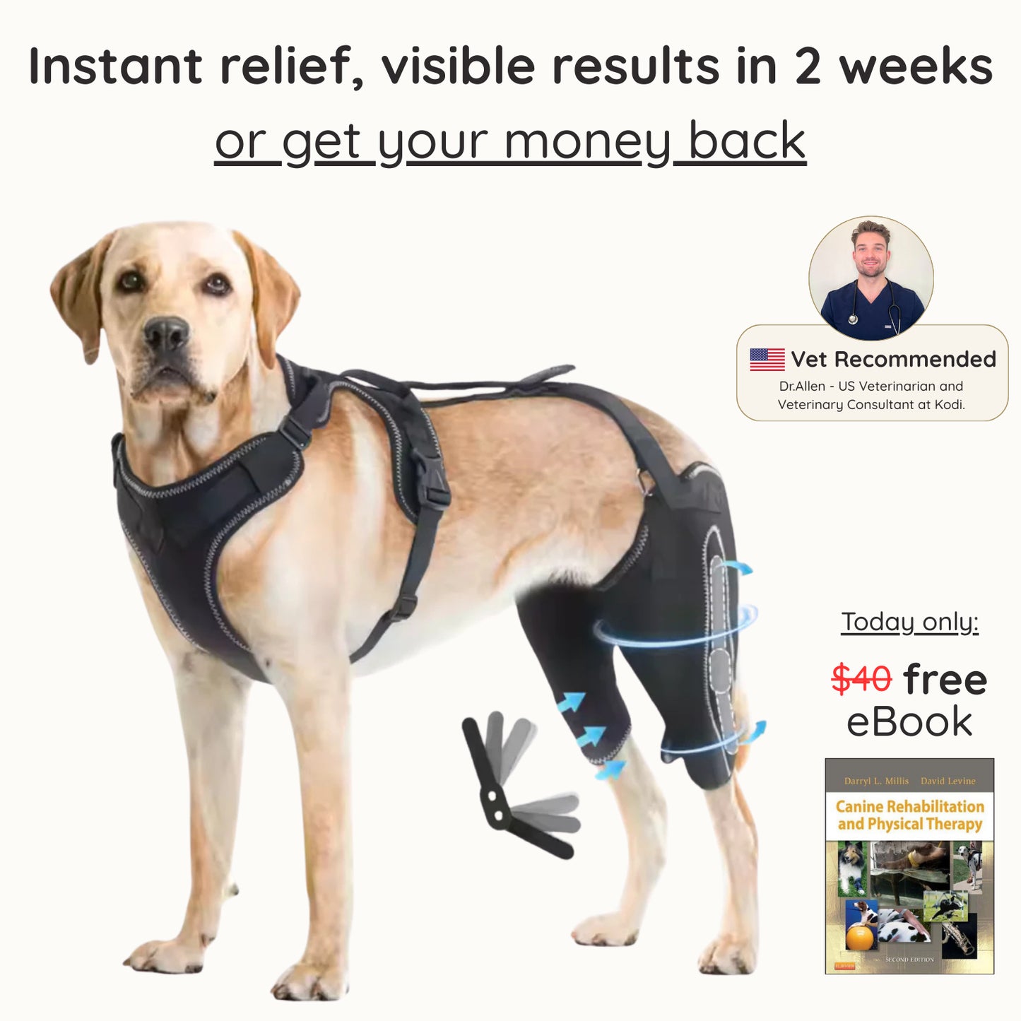 Comfort Paws Canine Leg Brace