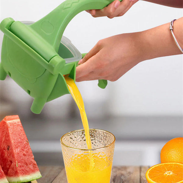 FRUIT JUICER