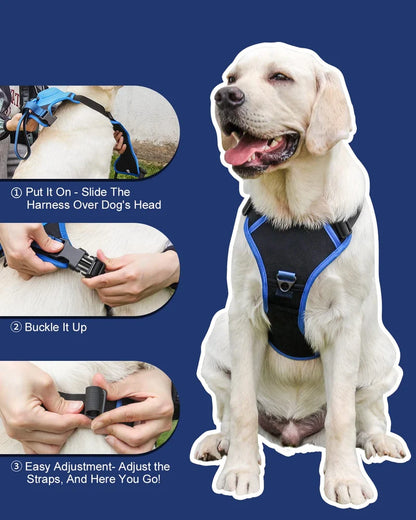 Dog Harness and Retractable Leash Set All-in-One