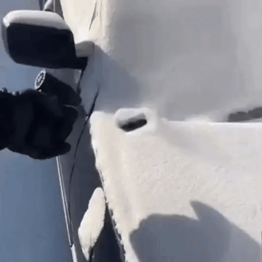 Jet Power Dust Blaster