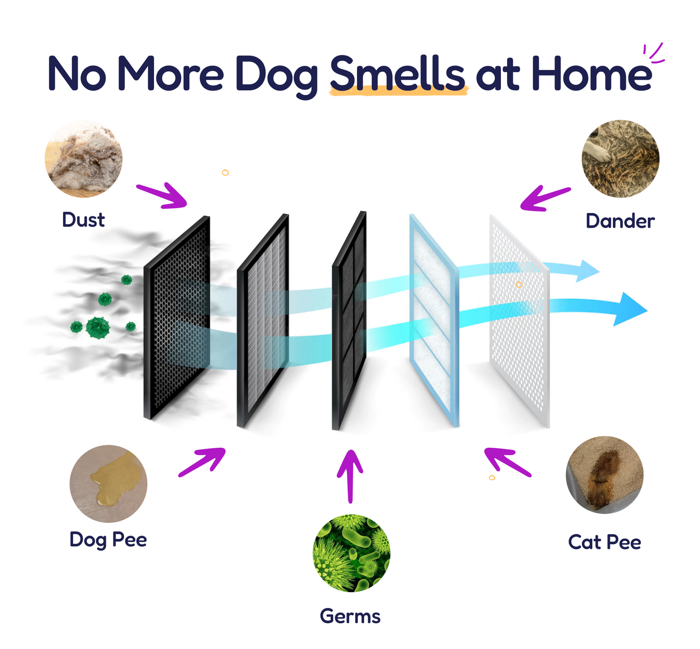PET AIR PURIFIER