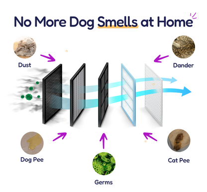 PET AIR PURIFIER