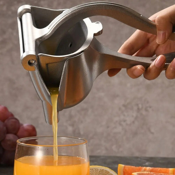 FRUIT JUICER