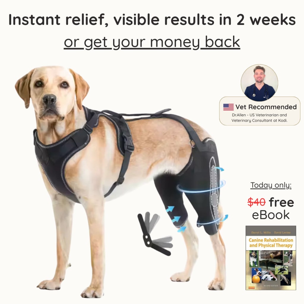 Gentle Paws Pet Comb