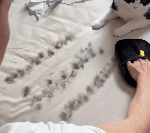 Magic Pet Hair Glove