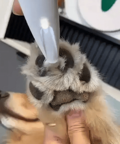 Easy Pet Grooming Trimmer