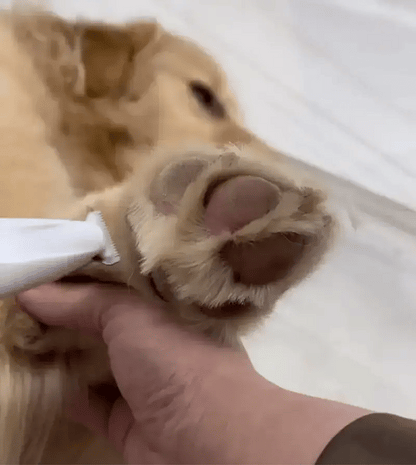 Easy Pet Grooming Trimmer