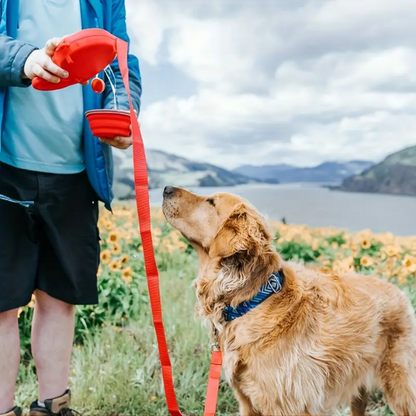 Ultimate Dog Adventure Leash