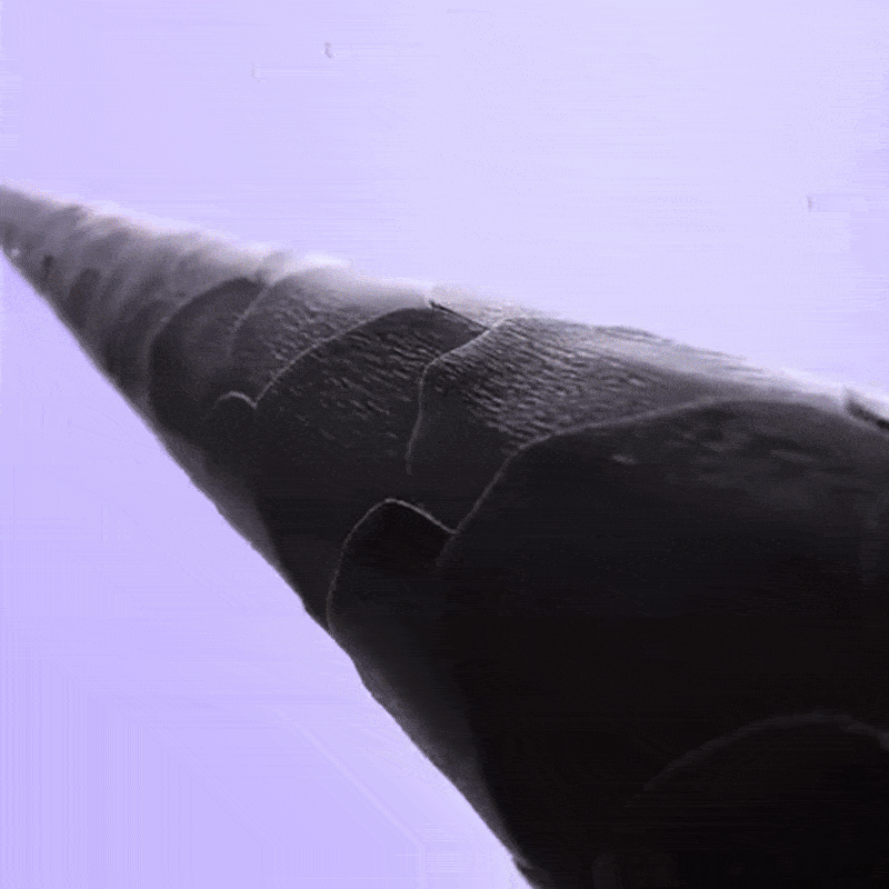 QuickStyle Ion Brush