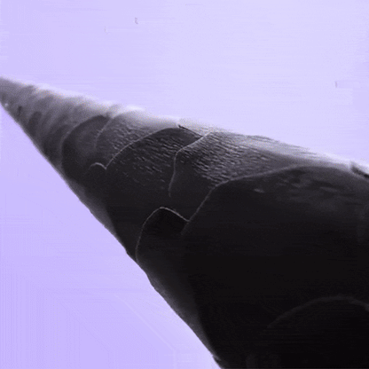 QuickStyle Ion Brush