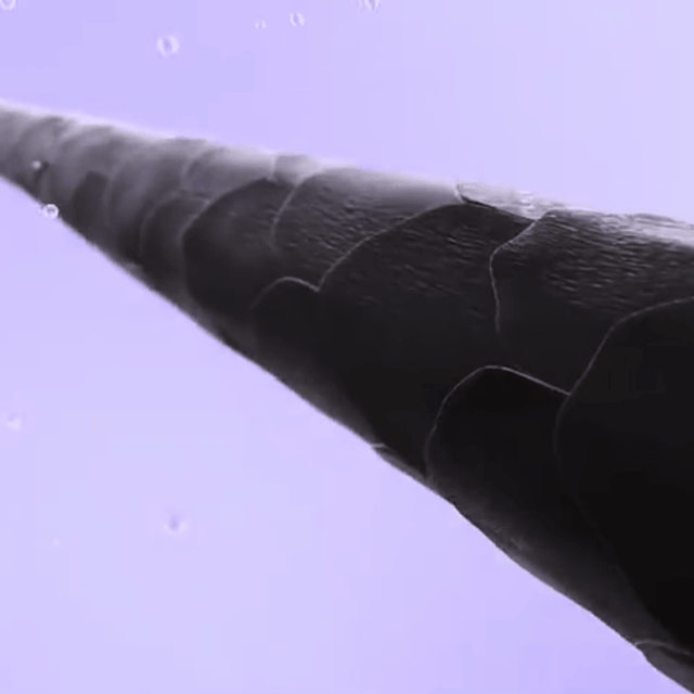 QuickStyle Ion Brush