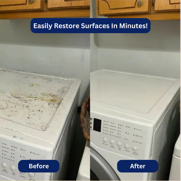 MistSteam All-in-One Cleaner